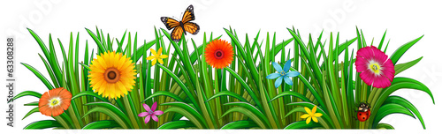 A garden with fresh blooming flowers, a butterfly and a ladybug
