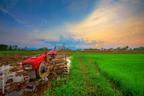 Red power tiller in rice field