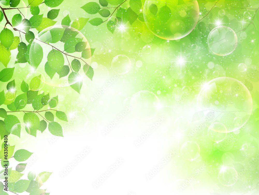 Fototapeta premium 新緑 空 風景