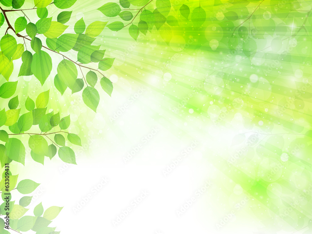 新緑　空　風景