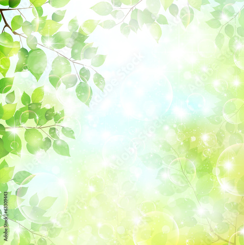 新緑　空　風景