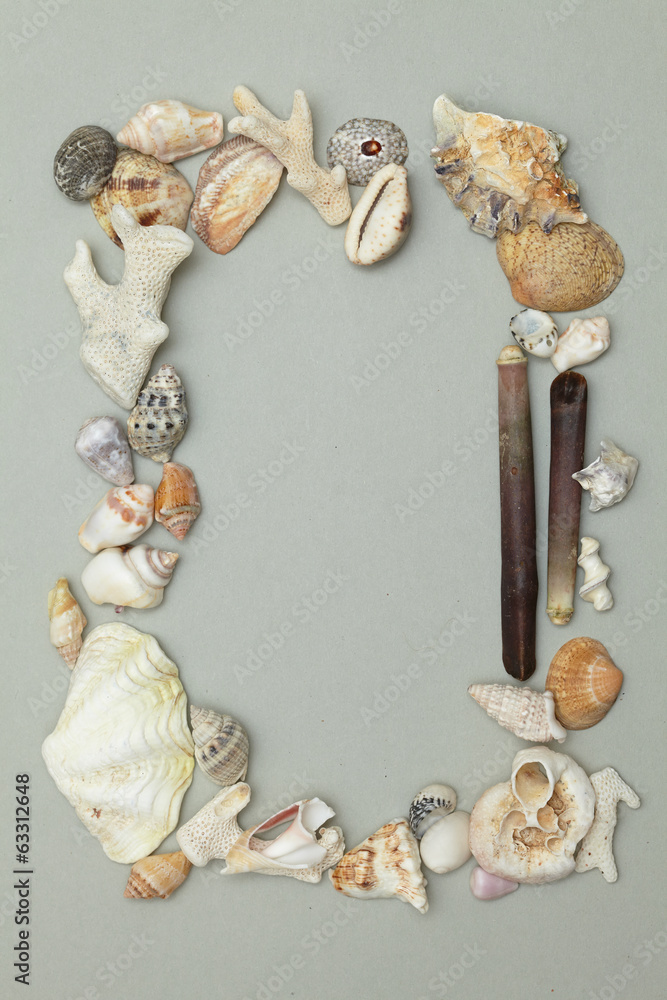 Fototapeta premium frame made ​​of shells