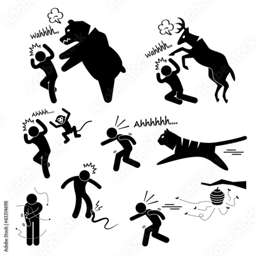 Wild Animal Attacking Hurting Human
