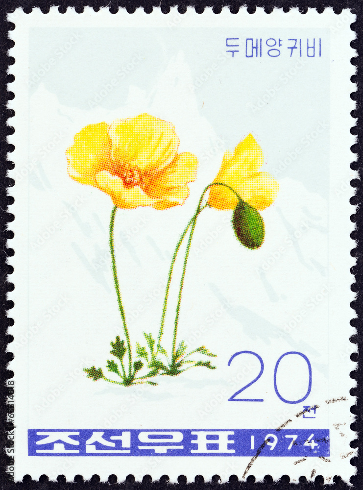 Fototapeta premium Opium poppy, Papaver somniferum (North Korea 1974)