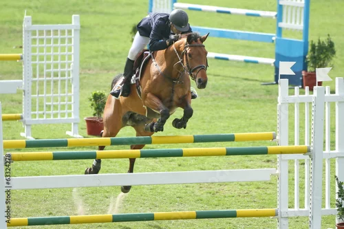 Obraz Kurs wiosenny - trawnik