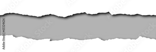 Torn paper with grey space for text isolated