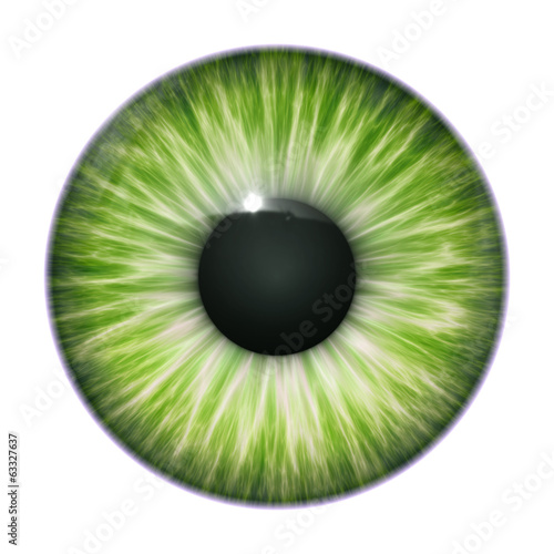 Εκτύπωση καμβά green eye texture