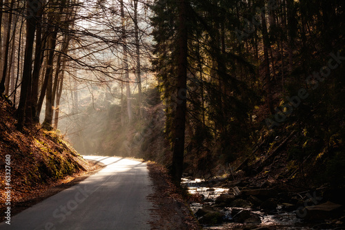 Fototapeta Naklejka Na Ścianę i Meble -  Beautiful autumn sunny photo taken in Beskid mountains