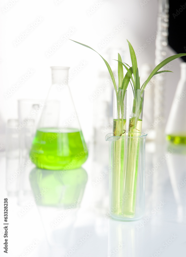 plantlet plantlet