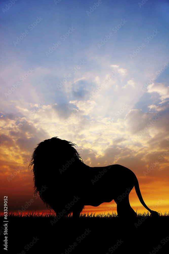 Lion silhouette Lion silhouette