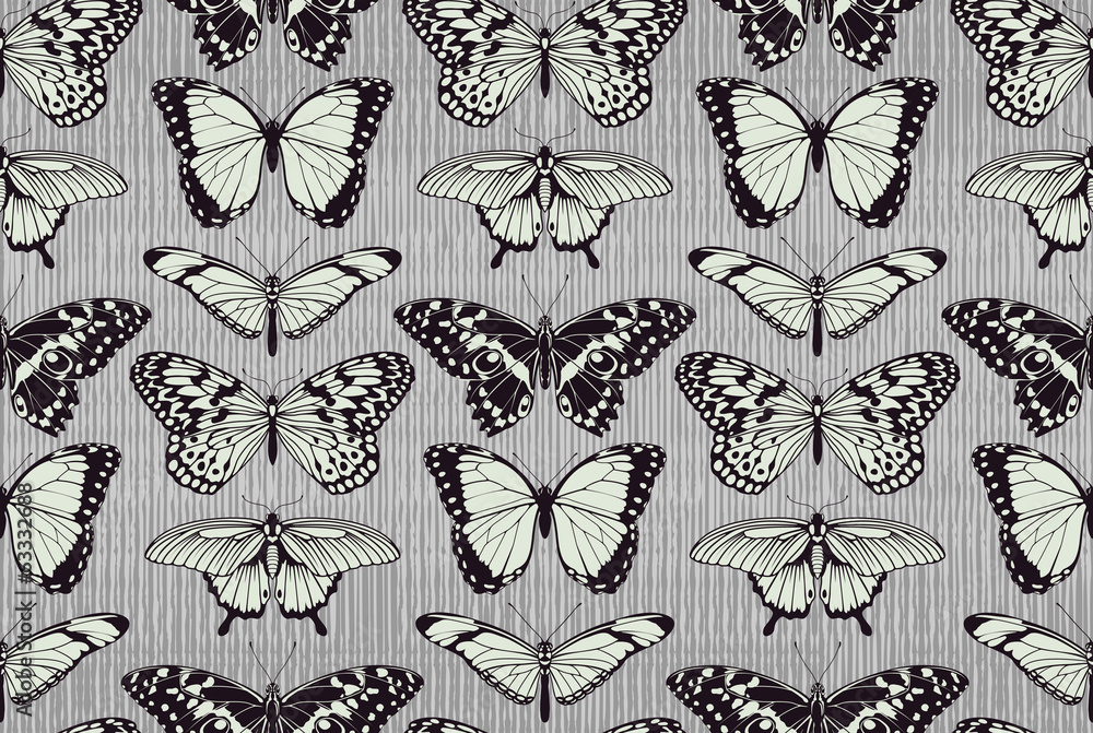 Butterfly pattern background Butterfly pattern background