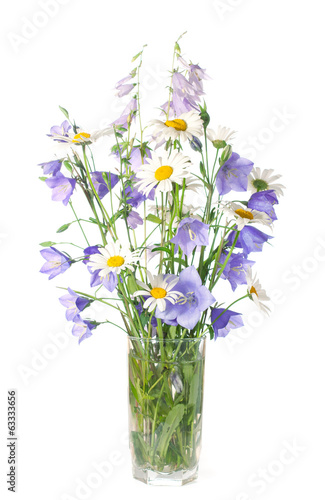 Bouquet of wildflowers isolated on white background
