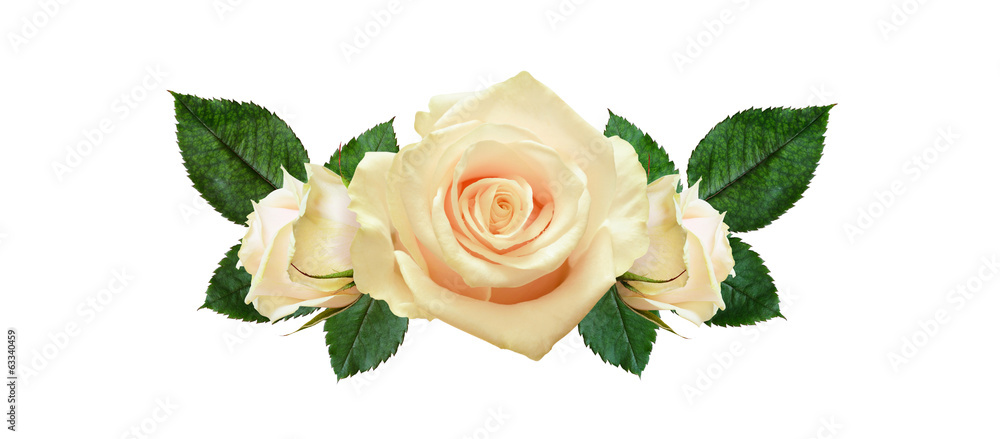 Rose flowers arrangement - obrazy, fototapety, plakaty 