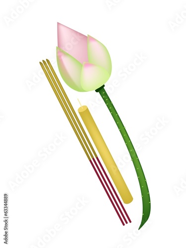 Pink Lotus with Joss Sticks and Candle