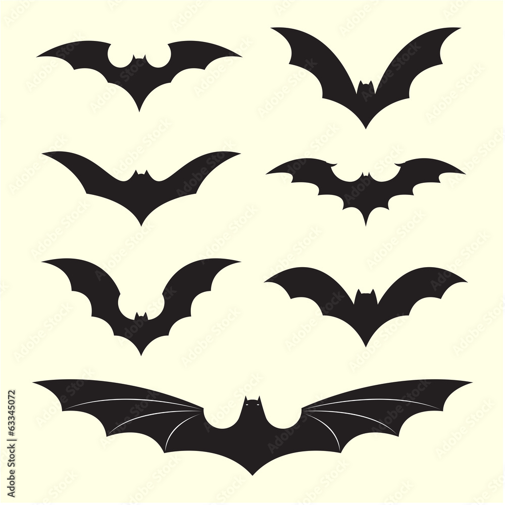 Vector group of bat