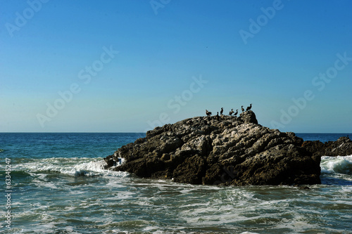 Foto Oceanside beach and rocks at Leo Carill Beach
