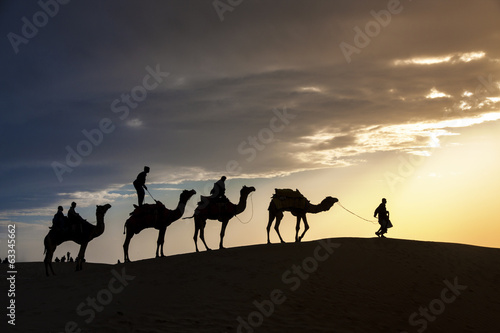 desert local walks with camel through Thar Desert