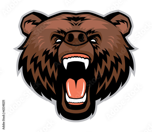 angry brown bear head