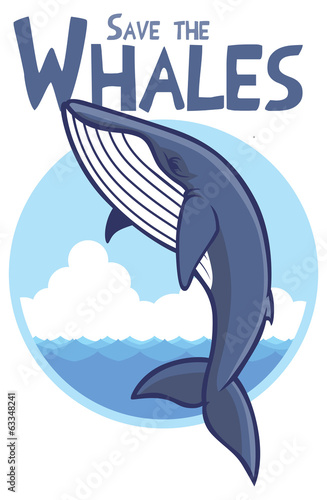 blue whale