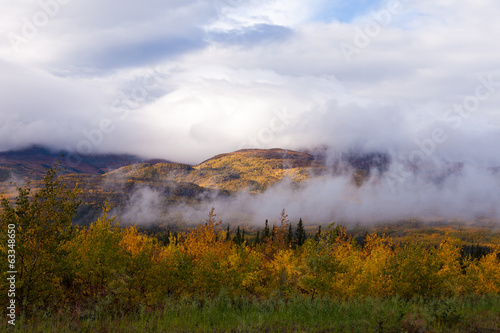 Foggy fall boreal forest taiga hills Yukon Canada