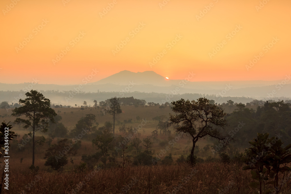Misty morning sunrise at Thung Salang Luang National Park Phetchabun,Thailand
