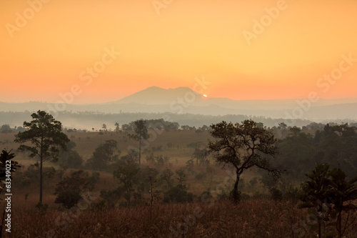 Misty morning sunrise at Thung Salang Luang National Park Phetchabun,Thailand