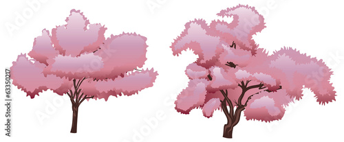 Sakura Tree