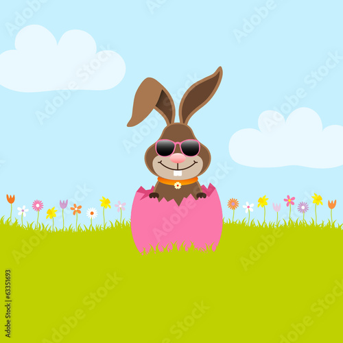 Bunny Sunglasses Pink Eggshell Meadow