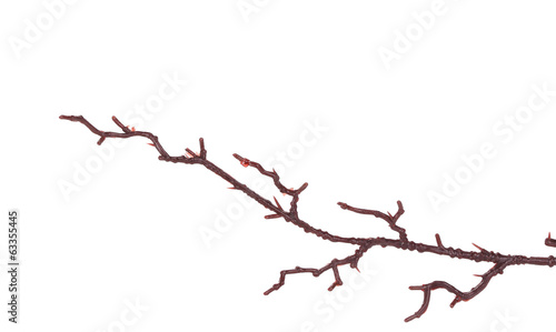 Tablou pe pânză Artificial branch.