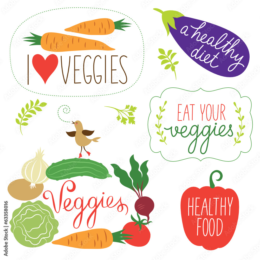 vector vegetables illustration