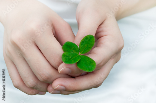 Compassion with a Four Leaf Clover