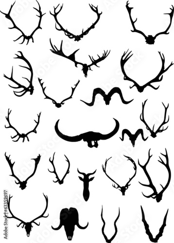 set of black twenty one antler and horns