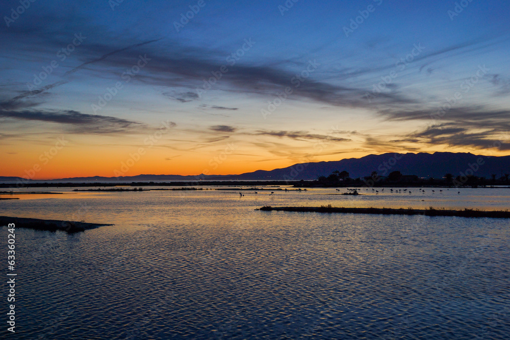 Ebro Delta Landscape