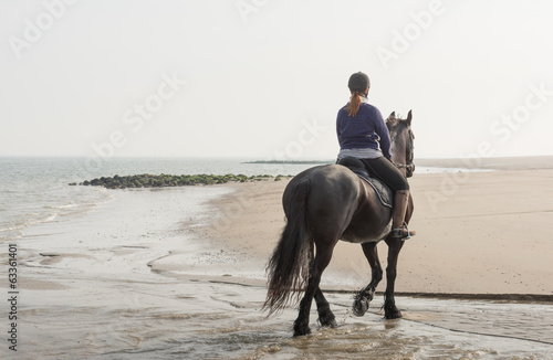 Horseback riding on the beach early in the morning