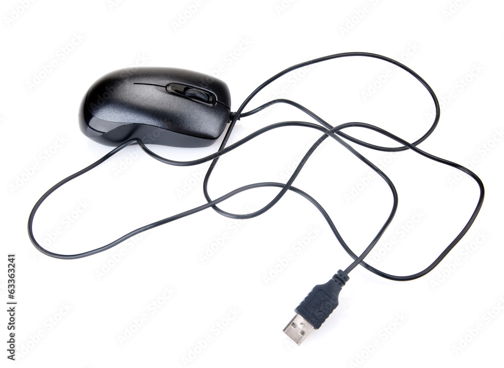Computer Mouse Computer Mouse