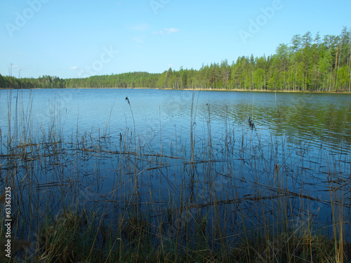 Fototapeta Naklejka Na Ścianę i Meble -  beautiful lake in Karelia