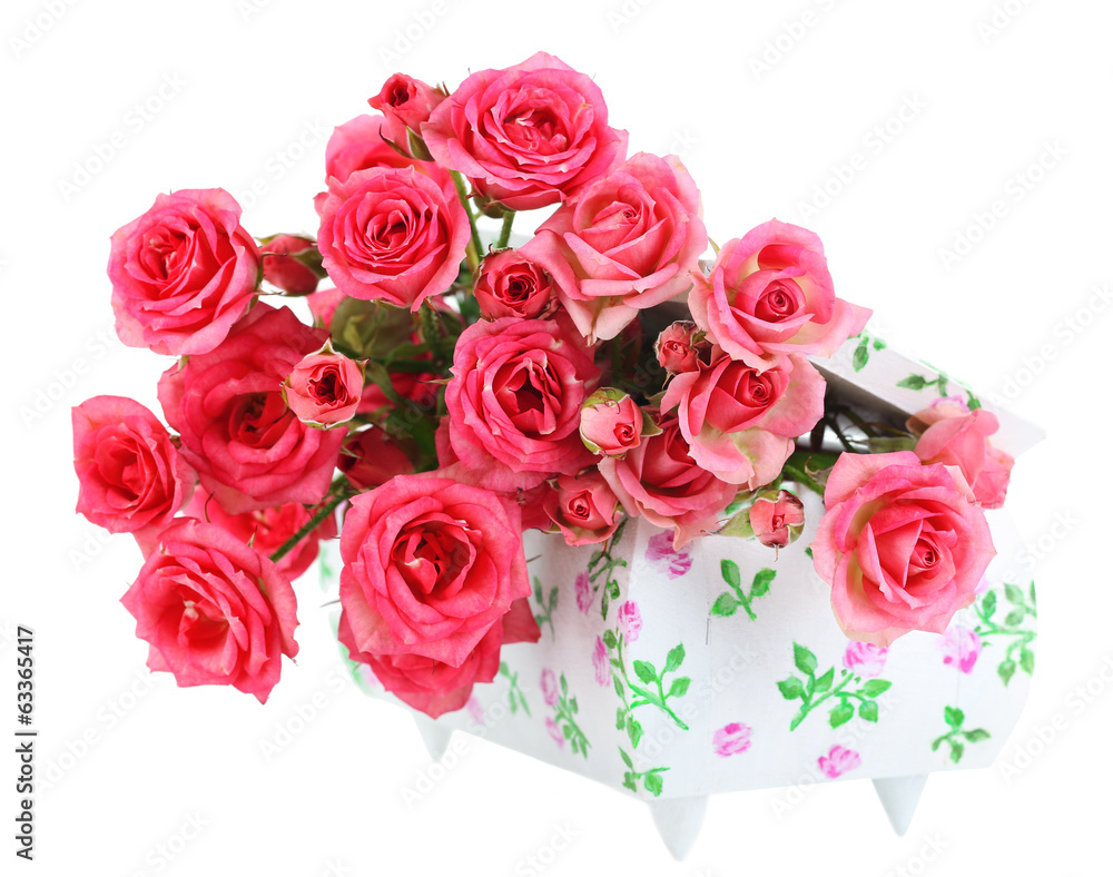 Beautiful small pink roses, isolated on white Beautiful small pink roses, isolated on white