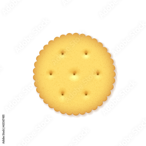 Crunchy Cracker on white background.