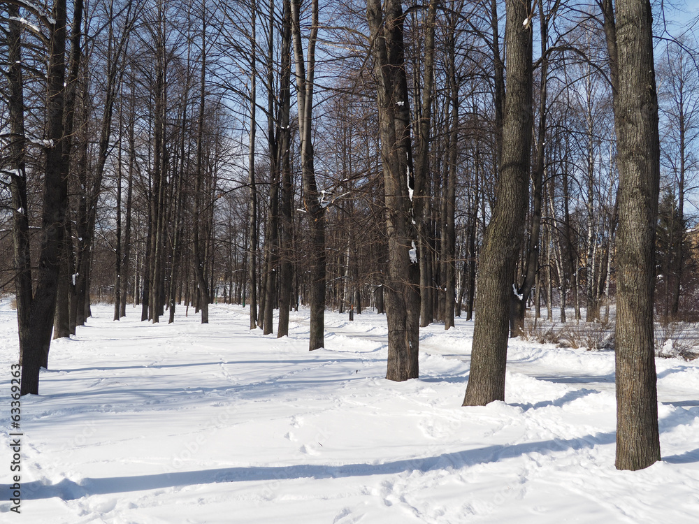 winter park winter park