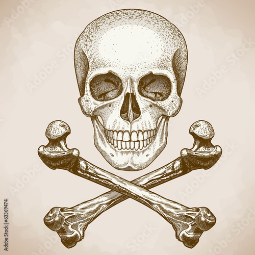 engraving skull and crossbones on white background