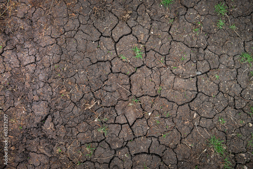 Closeup of dry soil texture