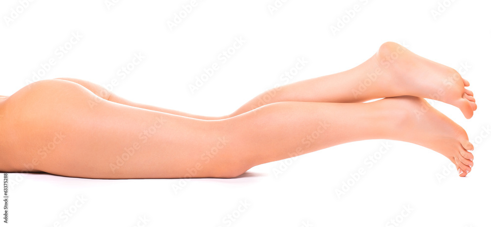 female legs on the white background female legs on the white background