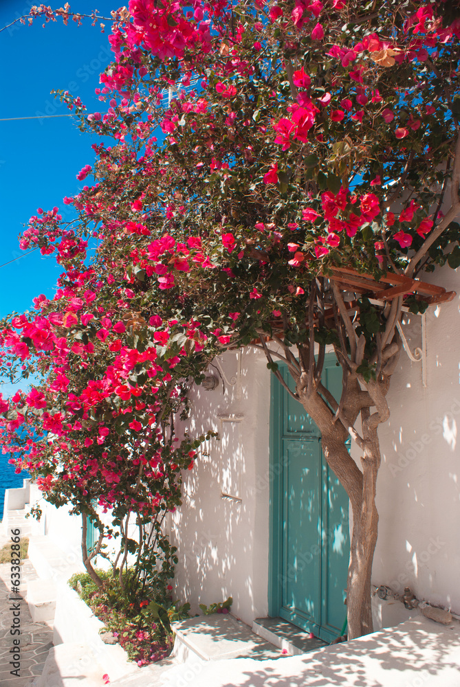 Fototapeta Tradycyjna grecka aleja na Sifnos wyspie, Grecja