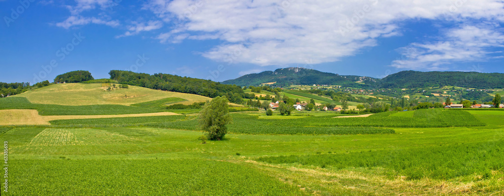Naklejka premium Panoramiczny widok na zielone wzgórza przyrody