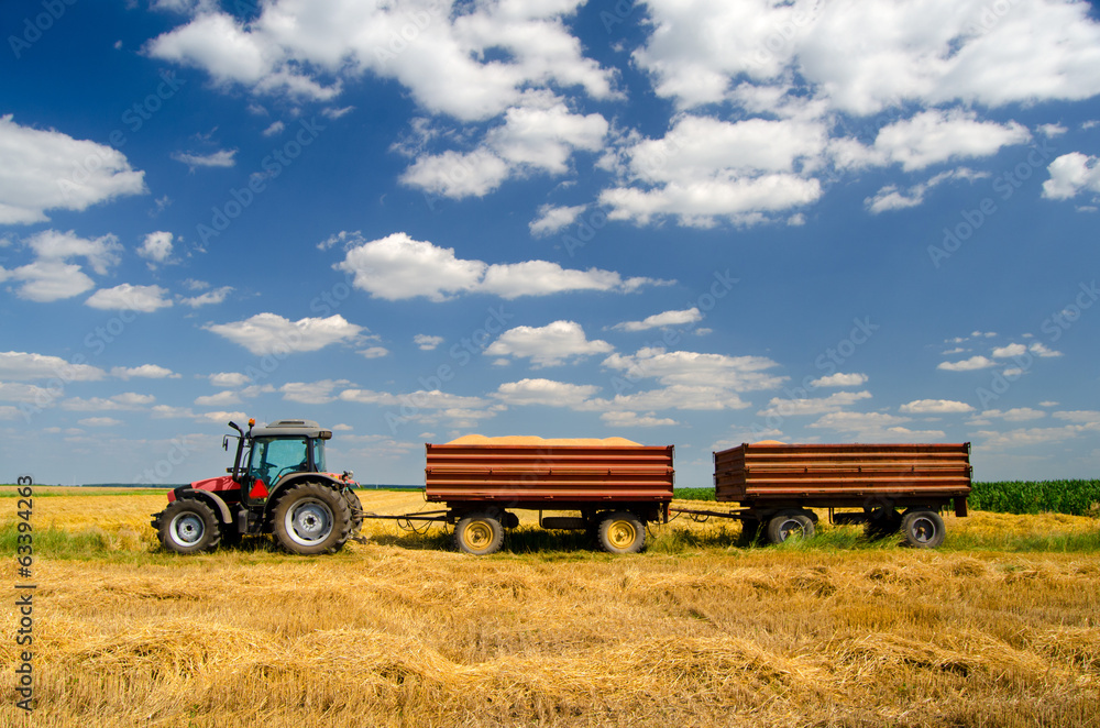 Naklejka premium Modern tractor on the agricultural field