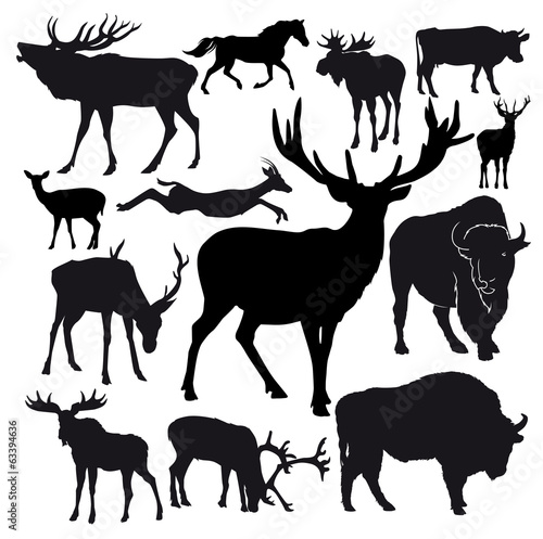 hoofed animals
