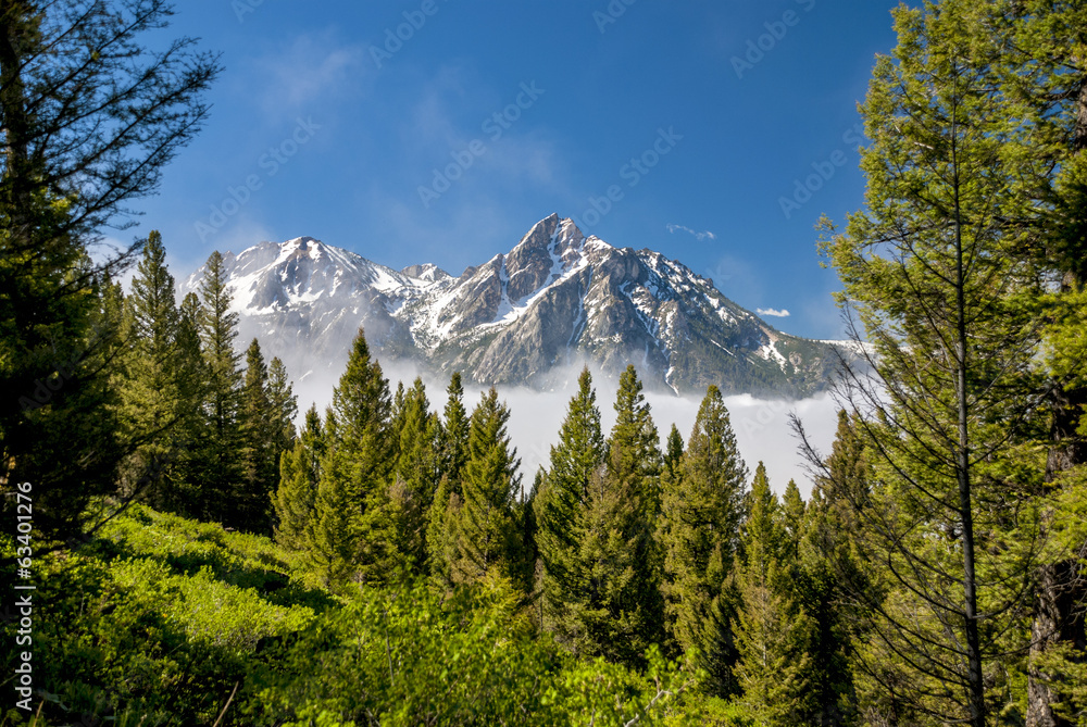 Beautiful mountains and a forest