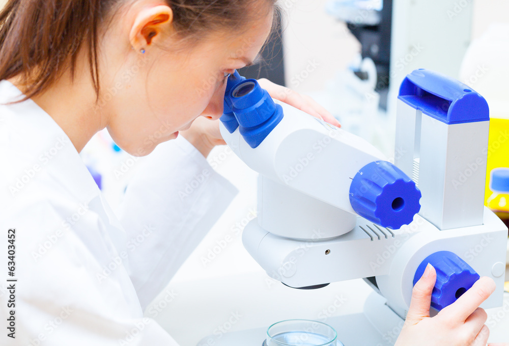 Researcher looking into a microscope in laboratory Researcher looking into a microscope in laboratory