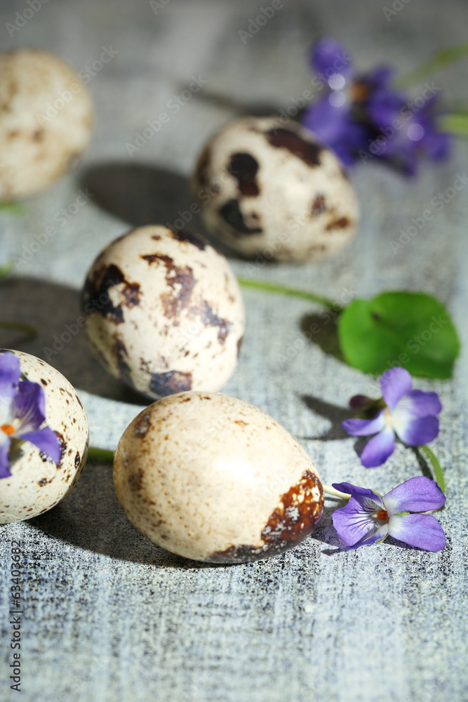 Obraz premium Easter composition with violets flowers in egg shells