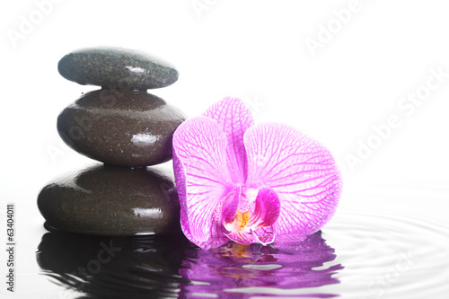 Flower and stones in water